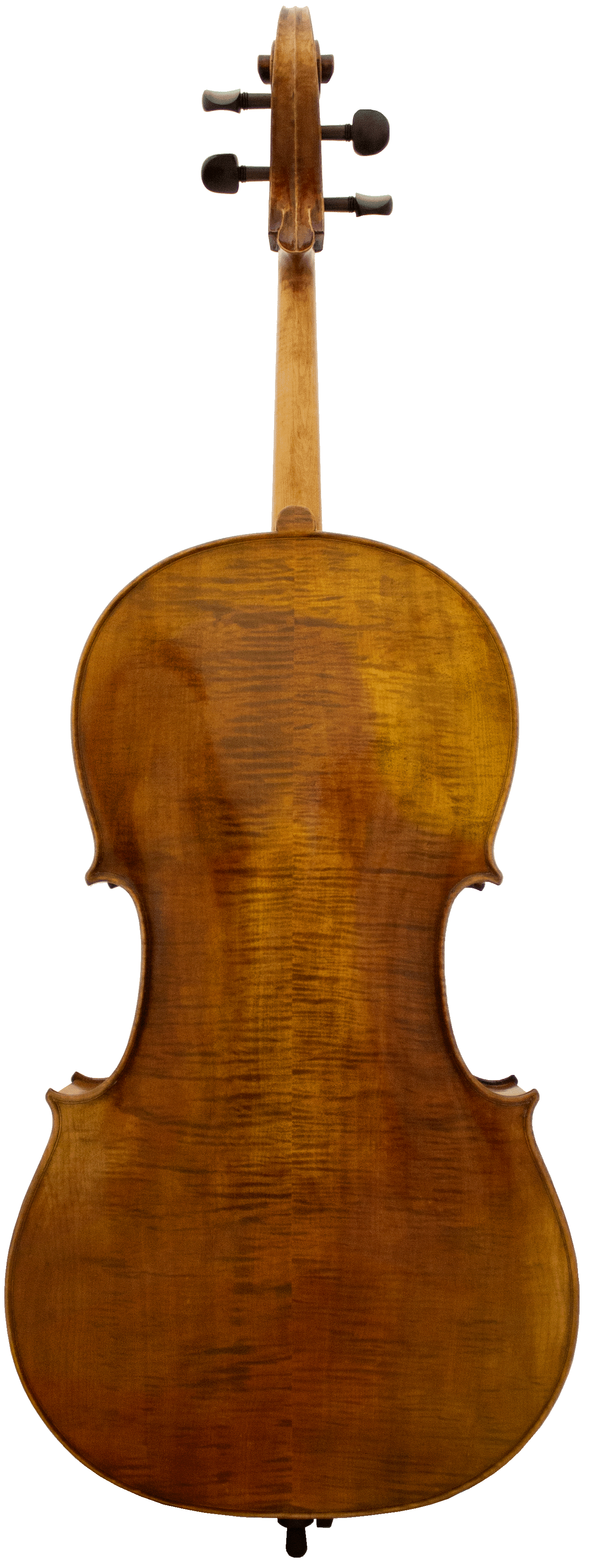 Panetto Strings Haddock 2100