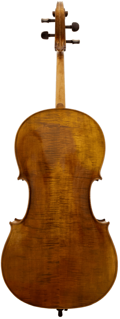 Panetto Strings Haddock 2100