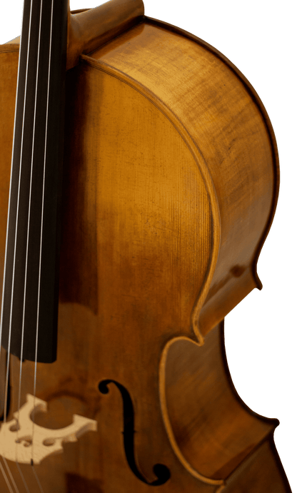 Panetto Strings Haddock 2100