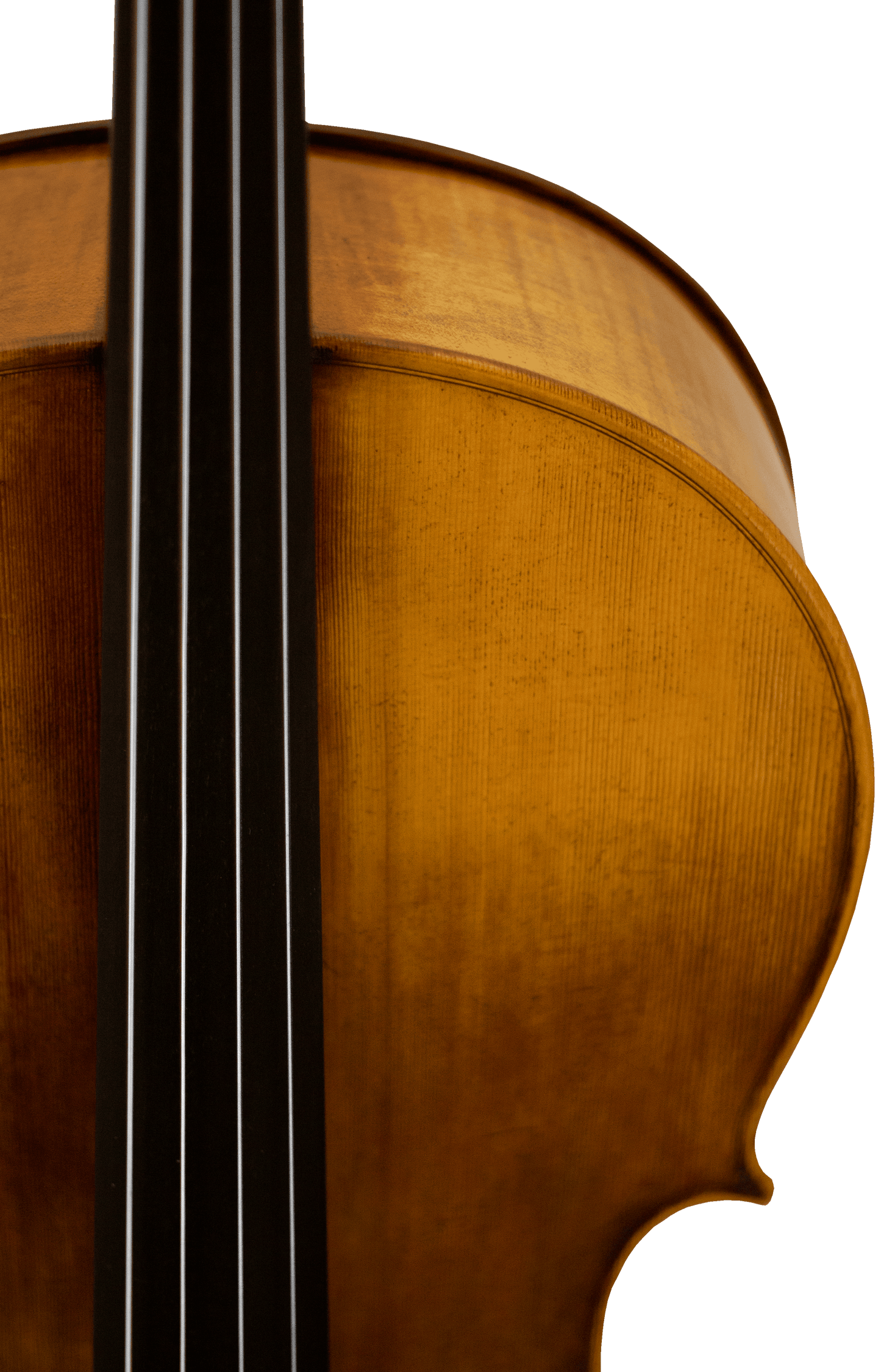 Panetto Strings Haddock 2100