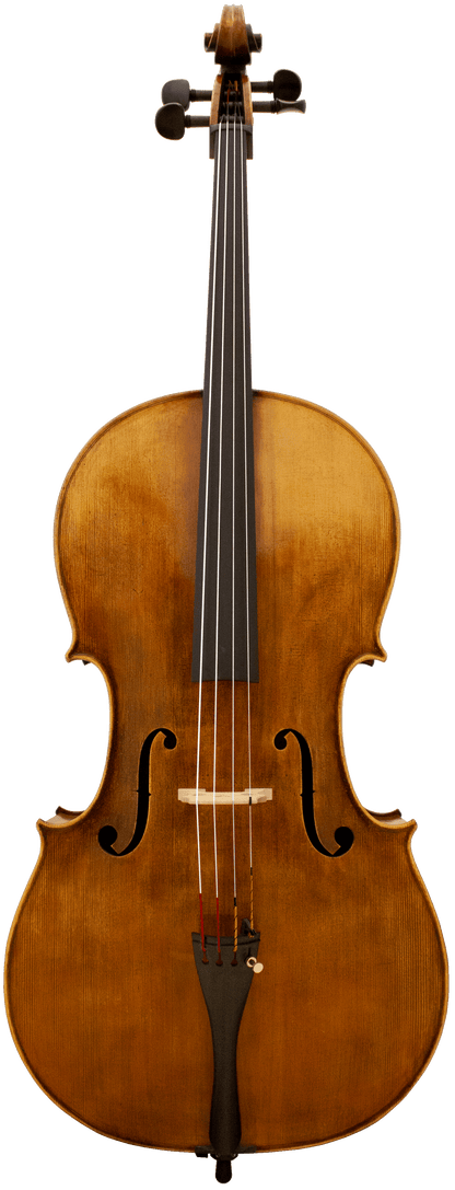 Panetto Strings Haddock 2100