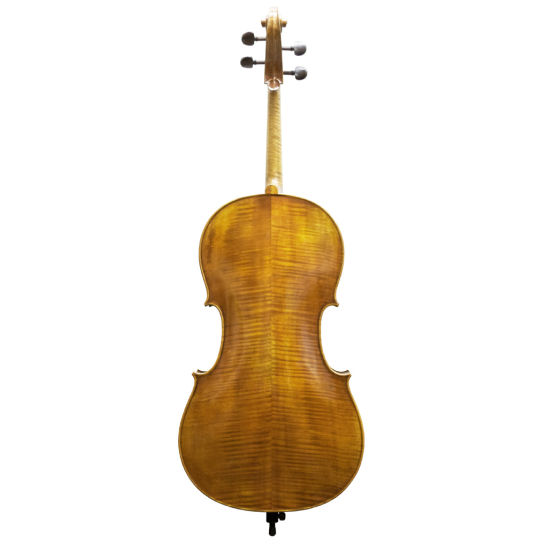 Master Lucienne Cello Back