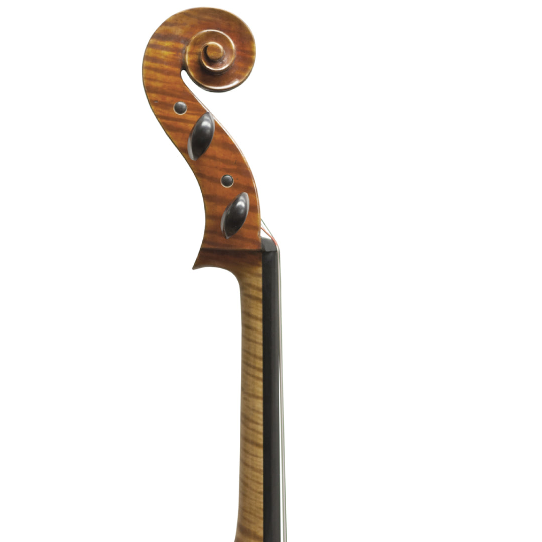 Master Lucienne Cello Scroll