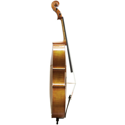 Master Lucienne Cello Side