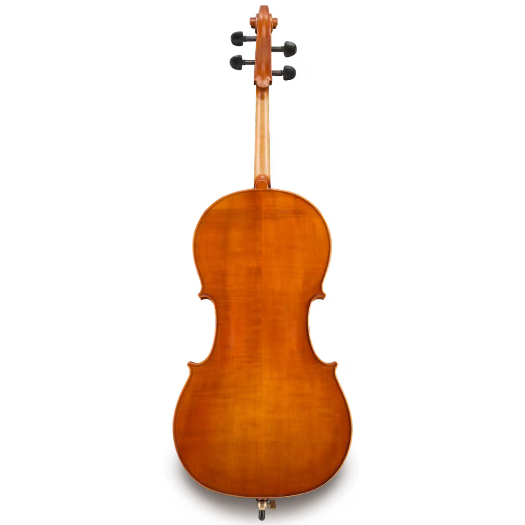 Eastman VC200 Cello Back