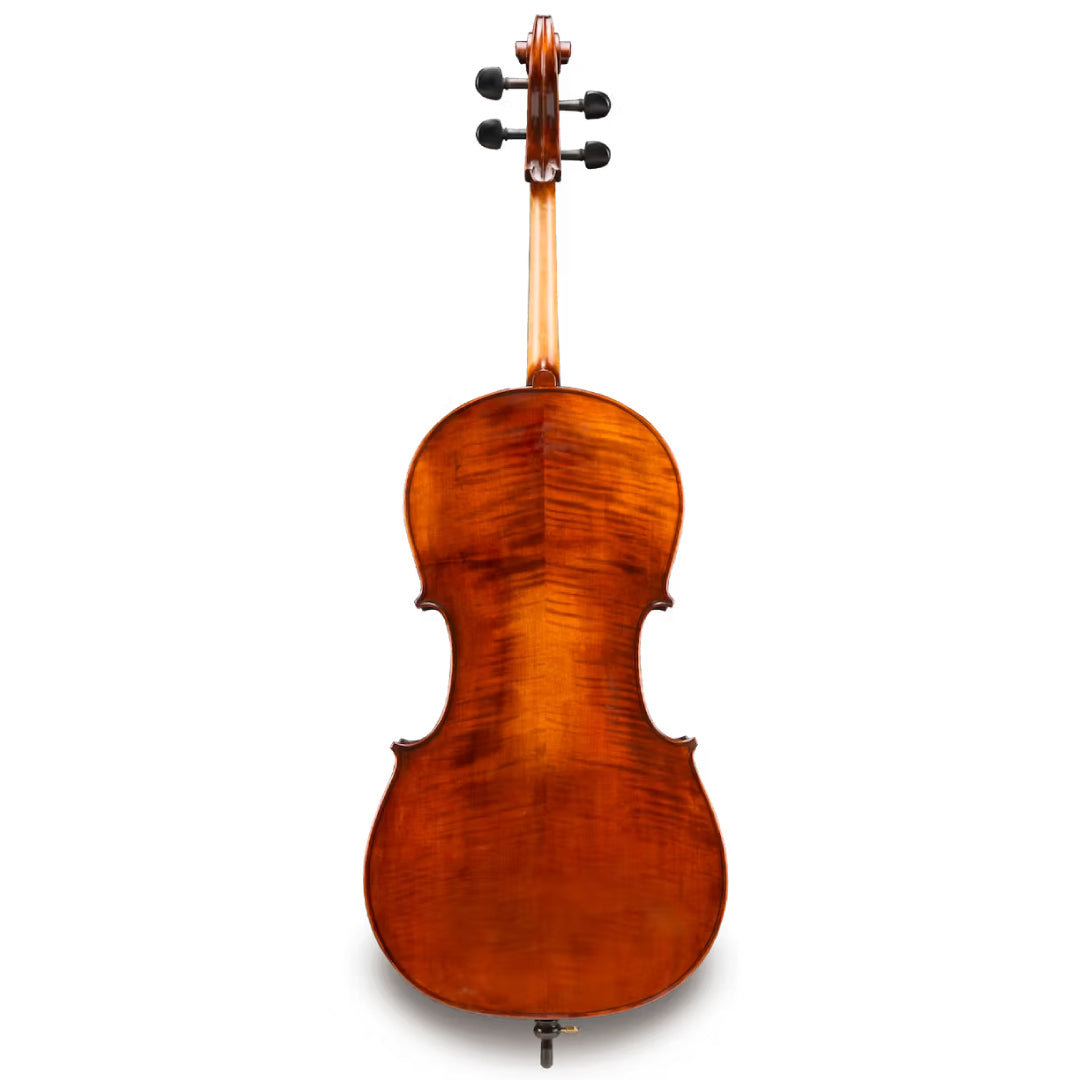 Eastman VC305 Cello Back