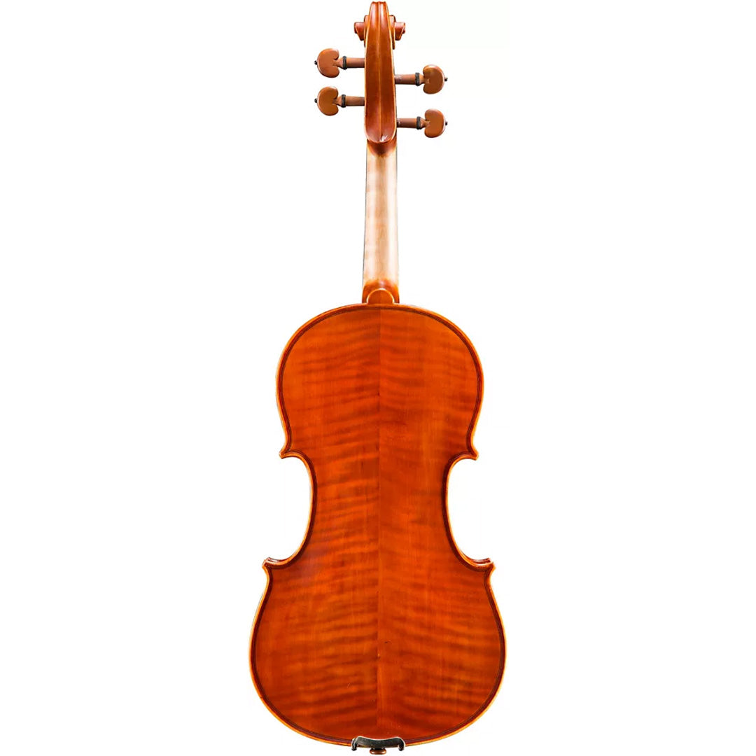 Eastman VL200 Violin back