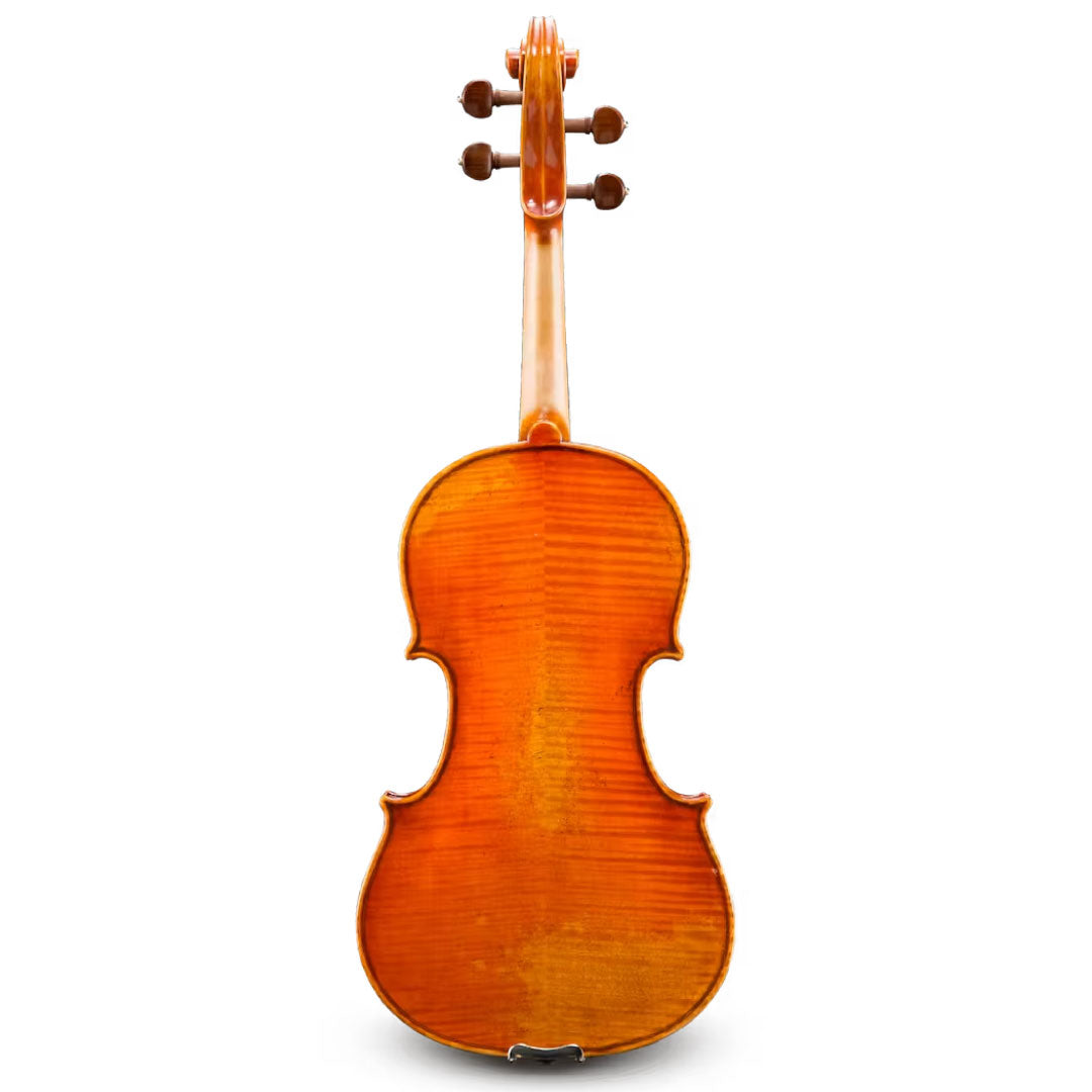 Frederich Wyss Viola Back