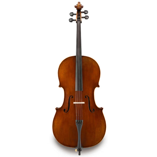 Ivan Dunov Superior Cello Back