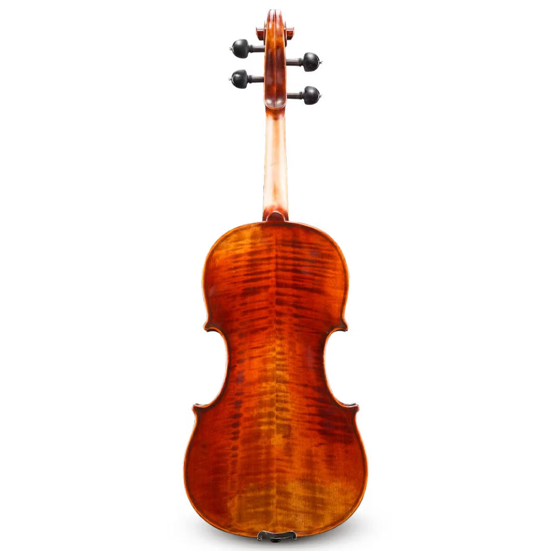 Ivan Dunov Viola Back