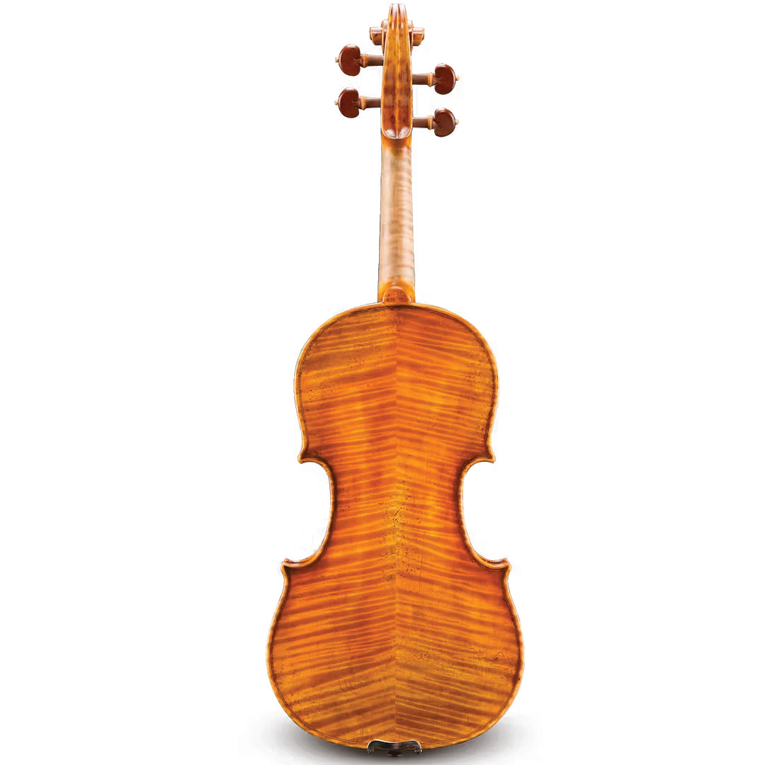 Raul Emiliani Violin Back