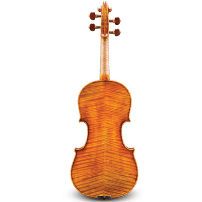 Raul Emiliani Violin Back